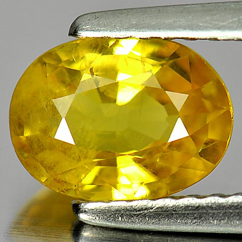 Yellow Sapphire 1.46 Ct. Oval Shape 8.1 x 6.1 x 3.5 Mm Natural Gemstone Thailand