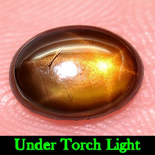 1.35 Ct. Oval Cabochon Natural Gem 6 Rays Golden Star Sapphire Thailand