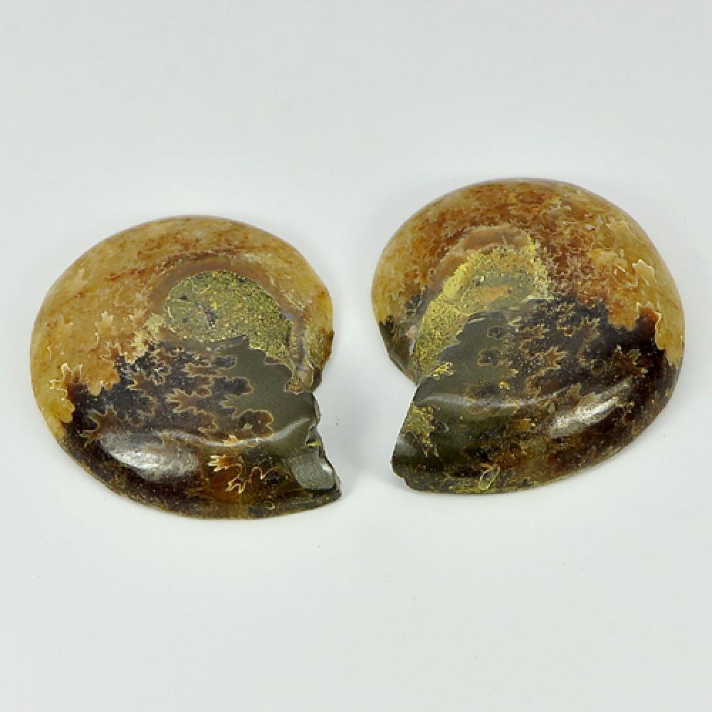 Yellow Brown Ammonite Fossil 68.98 Ct. Pair Natural Unheated From Madagascar