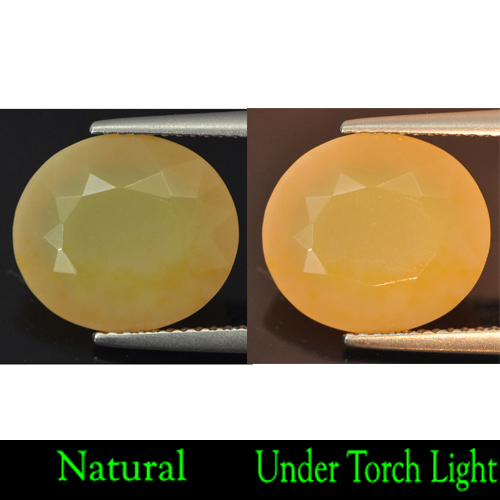 5.07 Ct. Clean Oval Natural Yellow Opal Mexico Gem Unheated