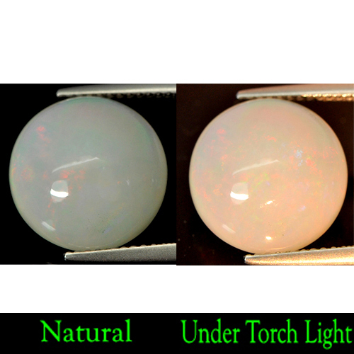 Unheated 5.82 Ct. Round Cabochon Natural Multi Color Play Of Color Opal