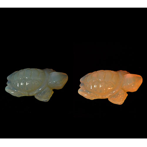 Opal Multi Color 5.65 Ct. Turtle Carving 18.2 x 11.8 Mm. Natural Gem Australia