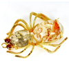 White Quartz Spider Brooch Fashion Nickel Eye Red Garnet 148.81 Ct. Natural Gem