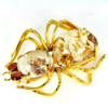 White Quartz Spider Brooch Fashion Nickel Eye Red Garnet 142.85 Ct. Natural Gem