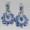 8.66 G. Beautiful Gems Natural Kyanite 925 Silver Jewelry Earrings