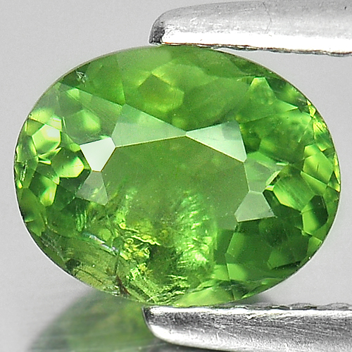1.15 Ct. Natural Gem Oval Shape Green Apatite Unheated