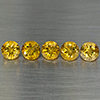 Natural Yellow Citrine 6.05 Ct. 5 Pcs Round Shape 7.2 Mm Gemstone from Brazil