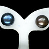 11.03 Ct. Nice Natural Multi Color Pearl Silver Earring