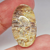 Good 30.94 Ct. Oval Cab Natural Gem White Brown Moss Quartz Thailand