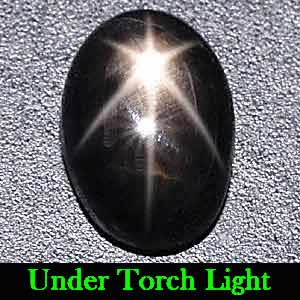 1.46 Ct. Oval Cabochon Natural Black Star Sapphire 6 Rays