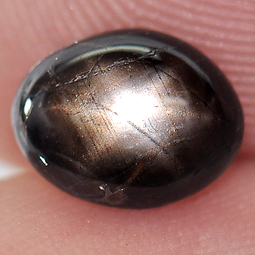 1.57 Ct. Oval Cab Natural Black Star Sapphire 6 Rays