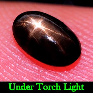 0.75 Ct. Oval Cab Natural Black Star Sapphire 6 Rays