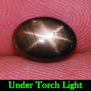 1.58 Ct. Oval Cab Natural Black Star Sapphire 6 Rays