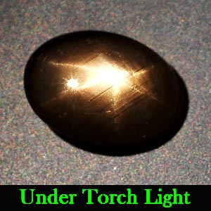 1.47 Ct. Oval Cab Natural Black Star Sapphire 6 Rays