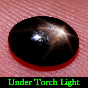 1.50 Ct. Oval Cab Natural Black Star Sapphire 6 Rays