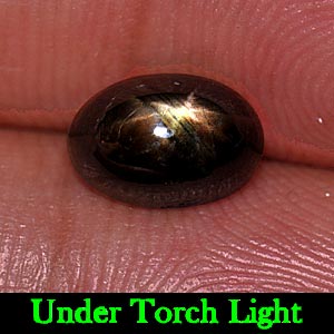1.48 Ct. Oval Cab Natural Black Star Sapphire 6 Rays