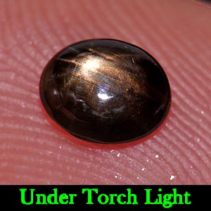 1.06 Ct. Oval Cab Natural Black Star Sapphire 6 Rays