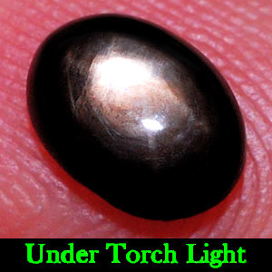 1.07 Ct. Oval Cab Natural Black Star Sapphire 6 Rays