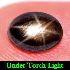 1.52 Ct. Oval Cab Natural Black Star Sapphire 6 Rays