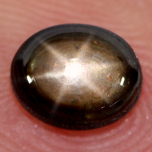 1.46 Ct. Oval Cab Natural Black Star Sapphire 6 Rays