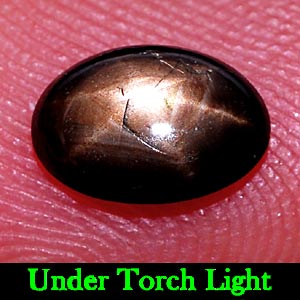 1.01 Ct. Oval Cab Natural Black Star Sapphire 6 Rays