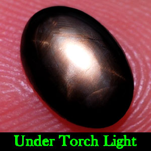 1.05 Ct. Oval Cab Natural Black Star Sapphire 6 Rays