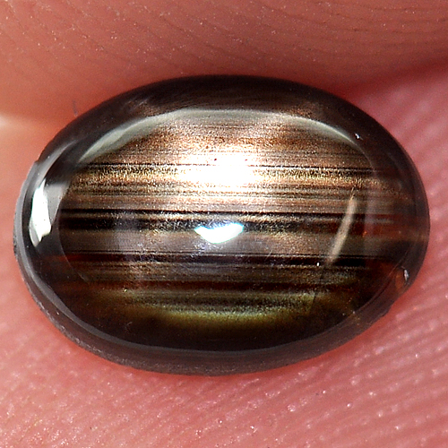 0.86 Ct. Oval Cab Natural Black Star Sapphire 6 Rays