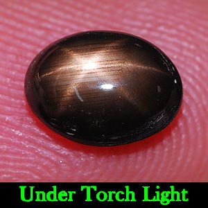 1.56 Ct. Oval Cabochon Natural Black Star Sapphire 6 Rays