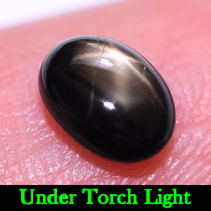 1.46 Ct. Oval Cab Natural Black Star Sapphire 6 Rays