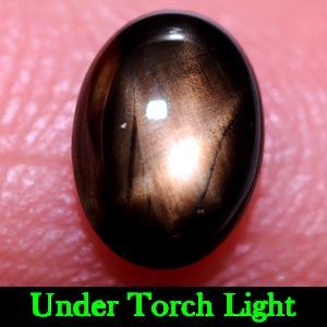 1.09 Ct. Oval Cab Natural Black Star Sapphire 6 Rays