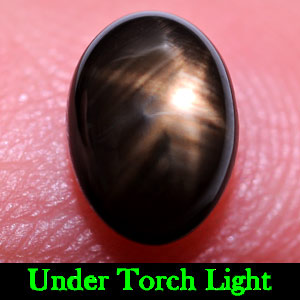 1.44 Ct. Oval Cabochon Natural Black Star Sapphire 6 Rays