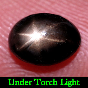 1.53 Ct. Oval Cab Natural Black Star Sapphire 6 Rays