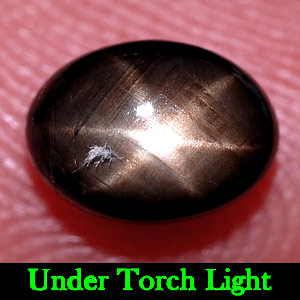 1.50 Ct. Oval Cab Natural Black Star Sapphire 6 Rays
