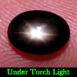 1.19 Ct. Oval Cab Natural Black Star Sapphire 6 Rays