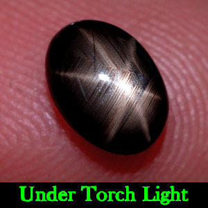 1.18 Ct. Oval Cab Natural Black Star Sapphire 6 Rays