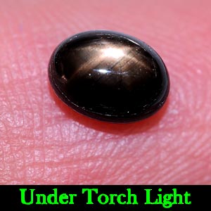1.54 Ct. Oval Cab Natural Black Star Sapphire 6 Rays