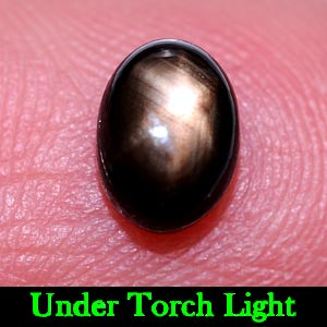 1.54 Ct. Oval Cabochon Natural Black Star Sapphire 6 Rays