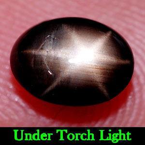 1.44 Ct. Oval Cab Natural Black Star Sapphire 6 Rays