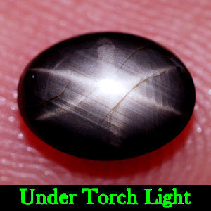1.20 Ct. Oval Cab Natural Black Star Sapphire 6 Rays