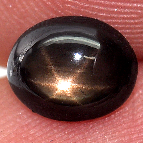 1.59 Ct. Oval Cab Natural Black Star Sapphire 6 Rays