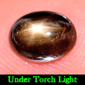 1.55 Ct. Oval Cab Natural Black Star Sapphire 6 Rays