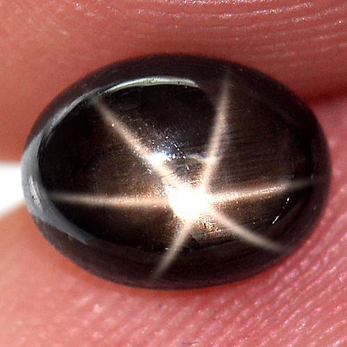 1.51 Ct. Oval Cab Natural Black Star Sapphire 6 Rays