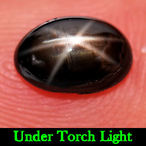 1.20 Ct. Oval Cabochon Natural Gemstone Black Star Sapphire 6 Rays