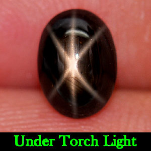 1.44 Ct. Oval Cabochon Natural Gemstone Black 6 Rays Star Sapphire
