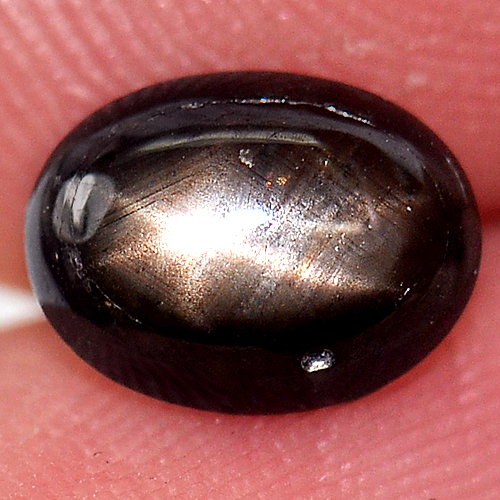 1.57 Ct. Natural Black 6 Rays Star Sapphire Gemstone Oval Cabochon
