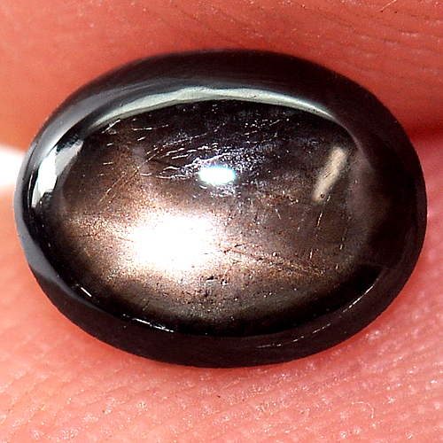 0.88 Ct. Attractive Natural Gemstone Black Star Sapphire 6 Rays Oval Cabochon