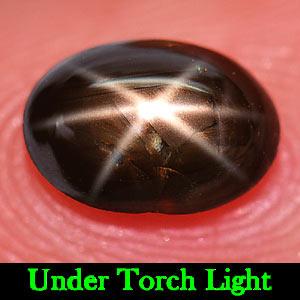 1.15 Ct. Ravishing Natural Gemstone Black 6 Rays Star Sapphire Oval Cabochon