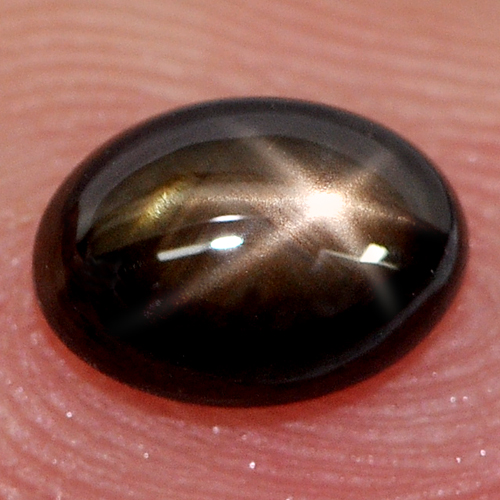 1.06 Ct. Oval Cabochon Natural Good 6 Rays Black Star Sapphire Gemstone