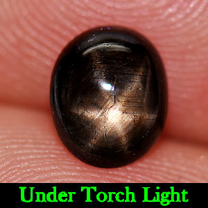 1.42 Ct. Oval Cab Natural Gemstone 6 Ray Black Star Sapphire