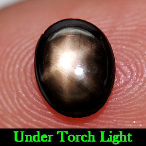 0.93 Ct. Natural Gemstone 6 Ray Black Star Sapphire Oval Cab